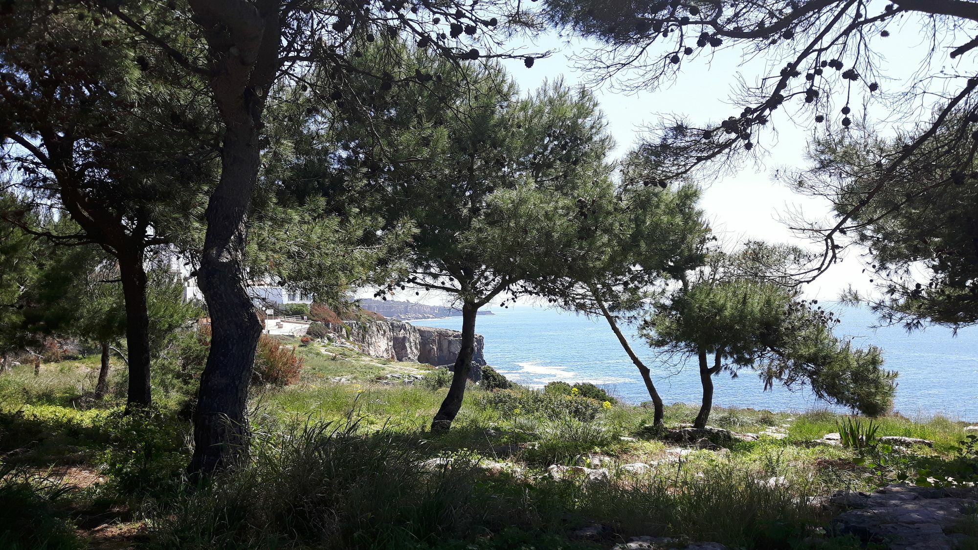 Charming Villa Golf & Beach Cascais Bagian luar foto